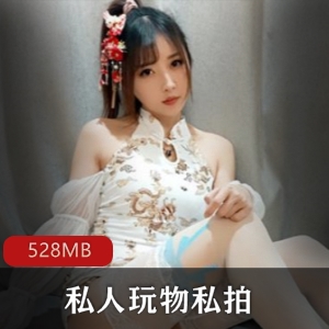 私人玩物网红美腿白丝高端气质诱惑力视频合集528MB