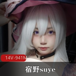 宿野suye露脸定制14部14V-941M：小L莉cosplay福利视频下载观看